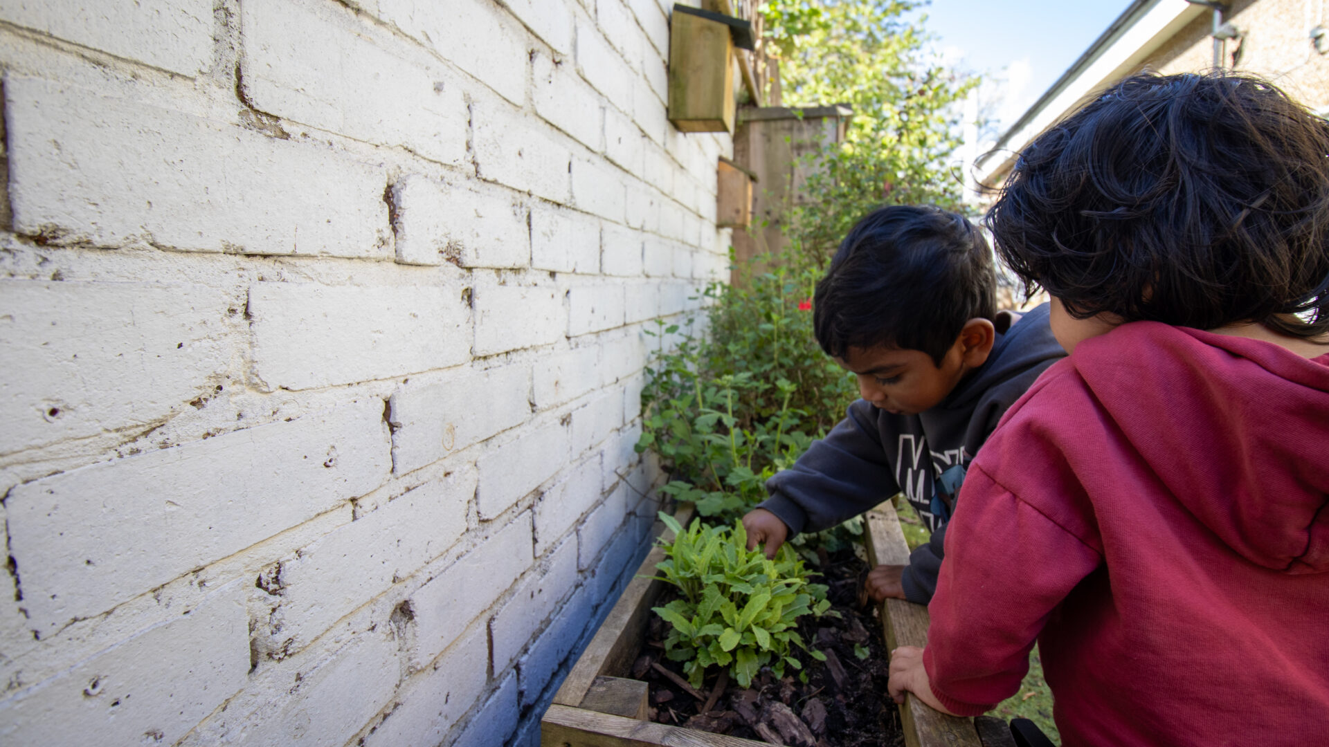 Sustainability at LEYF